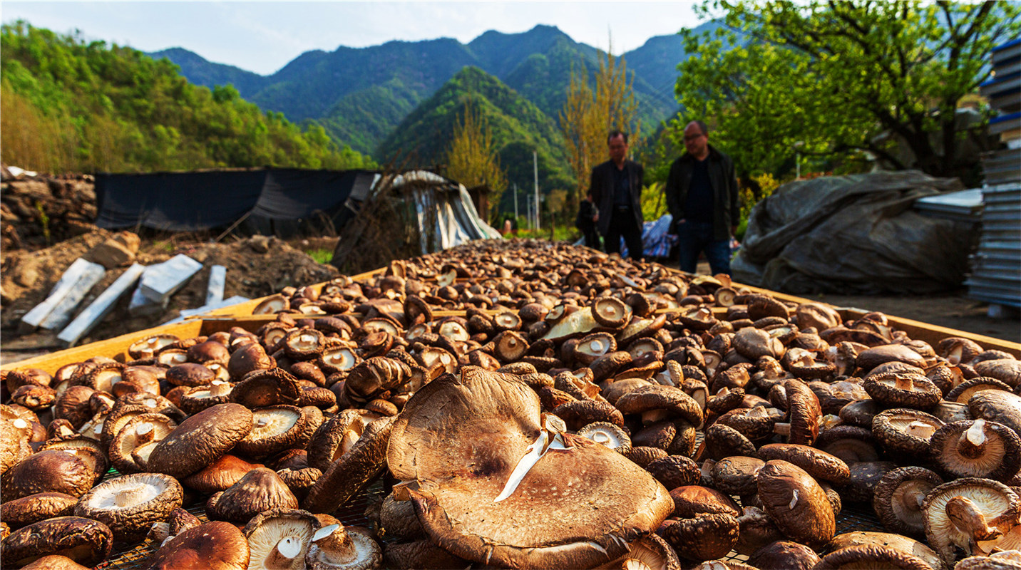 《结对帮扶，硕果累累》高波
